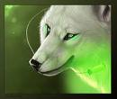 ���� Volf, ������, 42 ���� - ��������� 4 ������ 2011 � ������ ���� ���� ������