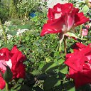 ���� �������, �������, 70 ��� - ��������� 25 �������� 2012 � ������ �������