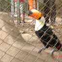 ���� ����. ��������� �� ��!, ������, 72 ���� - ��������� 11 �������� 2011 � ������ ���������