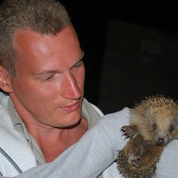 �����, ������, 45 ���