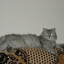 ���� Svetlanas, ���������, 47 ��� - ��������� 7 ���� 2010 � ������ ���� �������