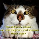 ���� ��������, �������� - ��������� 11 ����� 2012 � ������ �������� ��������