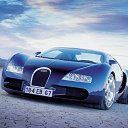 ���� �������, �����-���������, 41 ��� - ��������� 22 ������ 2009 � ������ �������