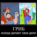  D.s., , 38  -  25  2011   