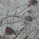 ���� .....Ina, ���������� - ��������� 21 ������ 2013 � ������ ���� ����������