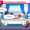 ���� =���=317, ������ - ��������� 28 ������� 2010 � ������ �PetLove�