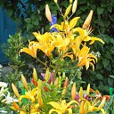 ��� ��������! �� ������� ����λ