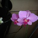 ���� ���� (���������� ������ � ������� �������), ������, 70 ��� - ��������� 4 ������� 2011 � ������ ���� ������