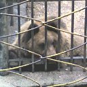 ���� ����, ������, 53 ���� - ��������� 10 ����� 2012 � ������ ���� ����������