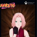 ���� ������, ������ �����, 52 ���� - ��������� 5 ����� 2011 � ������ ������� � ����