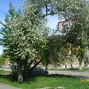 ���� Serg, ������������, 60 ��� - ��������� 14 ��� 2012 � ������ ��������,������