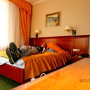 ���� �������, ������, 47 ��� - ��������� 7 ���� 2013 � ������ ���� ����������