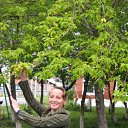 ���� �����, ���-���� �������... �� ������� ���� ����������