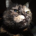 ���� ������, ���������, 62 ���� - ��������� 17 ������� 2013