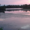 ����� �� ������� � ������� �� ������� �RoadKing�