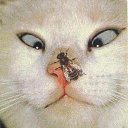 ���� ����, ���������, 30 ��� - ��������� 2 ����� 2012