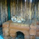 ���� ������, ������, 49 ��� - ��������� 29 ���� 2011 � ������ ����� 2011�