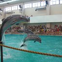 ���� �����, ������ �������� - ��������� 11 ��� 2010 � ������ �������