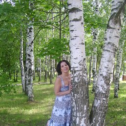 ������, ������ ��������, 67 ���