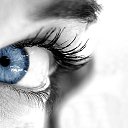 ���� ��������, �������� - ��������� 29 ���� 2013 � ������ ���� ����������