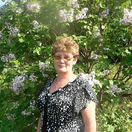 �����, �����������, 71 ���