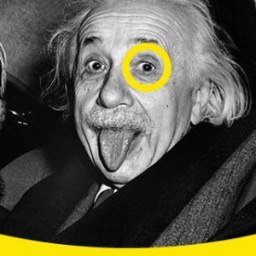 ���������, ������, 48 ���