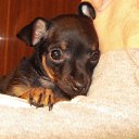 ���� �����, �����-��������� - ��������� 5 ���� 2011 � ������ ���� ����� � ���