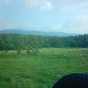 ���� ������, ������, 49 ��� - ��������� 29 ���� 2011 � ������ ����� 2011�