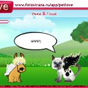 ���� ������, ��������� - ��������� 1 ������� 2010 � ������ �PetLove�