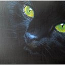  Natalia, -, 36  -  11  2010   Black Cat