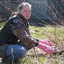 ���� ������, �����-���������, 41 ��� - ��������� 7 ��� 2013 � ������ ���� ����������