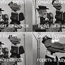  , -, 43  -  29  2013   