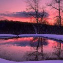  Niedara, , 51  -  26  2011   