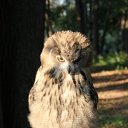 ���� ����, ������, 47 ��� - ��������� 5 ������� 2011 � ������ ���� ����������