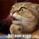 ���� �����, ��������, 67 ��� - ��������� 5 ������� 2013 � ������ ���� ����������