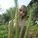 ���� ����������, ������, 39 ��� - ��������� 29 ��� 2012