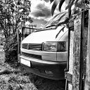 ���� �����, ������ ��������, 36 ��� - ��������� 7 ��� 2012