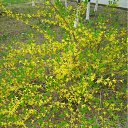 ���� ���� ����, ����������, 50 ��� - ��������� 19 ����� 2010 � ������ ������-2009�