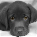 ���� ������, ��������� - ��������� 3 ������ 2013 � ������ �������