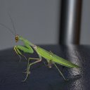 ���� ������, ������, 55 ��� - ��������� 9 ������� 2013 � ������ ��������...�