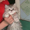 ���� ������, ������, 44 ���� - ��������� 12 ��� 2010 � ������ �������