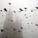 ���� K��k�, ������ ��������, 34 ���� - ��������� 10 ������� 2012 � ������ �������