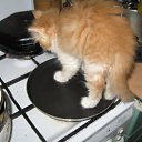 � �� ������ �� ���������? �� ������� ���� ����������