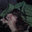 ���� ������, �����, 50 ��� - ��������� 16 ���� 2013 � ������ �� ��� ����� ����...�