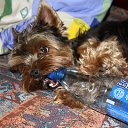 ���� �������, ������, 54 ���� - ��������� 18 ������ 2012