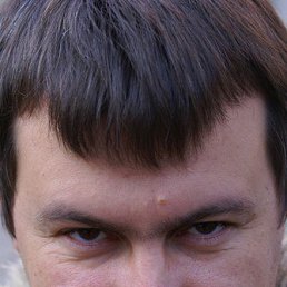 ������� �����������, 51 ���, �����������