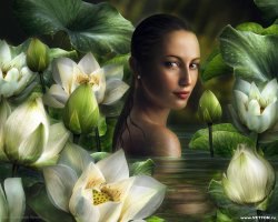 ���, �����������, 85 ���