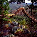 ���� Mark, ������, 50 ��� - ��������� 3 �������� 2010 � ������ ����� ��������� �������