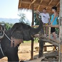 ���� �����, �������, 51 ��� - ��������� 25 ����� 2012 � ������ ���� ����������