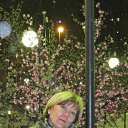 ���� �������, �����������, 62 ���� - ��������� 17 ������ 2013